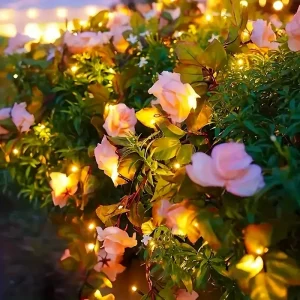 Rose Vine String Light