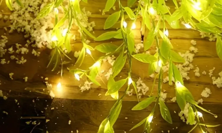 ccb75d557b45471c9ec9b4752d0bfb15-goods ccb75d557b45471c9ec9b4752d0bfb15-goods